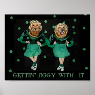 Golden Retriever Stepdancers bekommen Jiggy damit Poster
