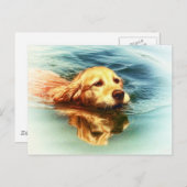 Golden Retriever Swimming - Hund Art Postkarte (Vorne/Hinten)