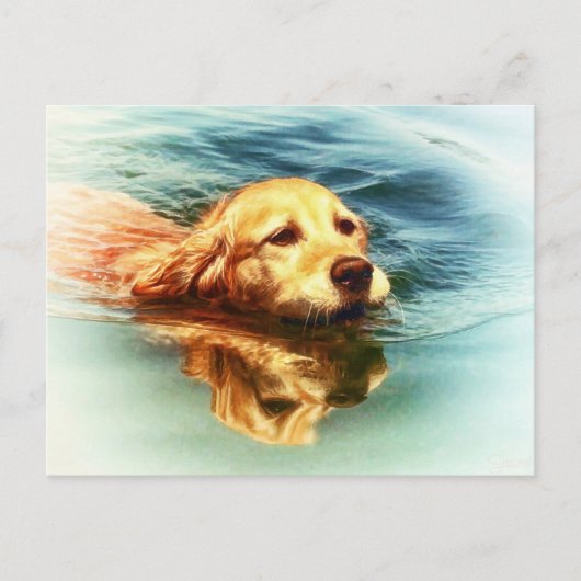 Golden Retriever Swimming - Hund Art Postkarte (Vorderseite)