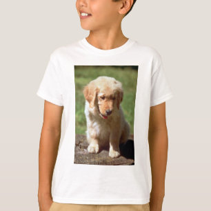 Golden Retriever T-Shirt