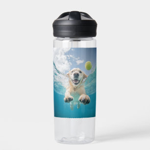 Golden Retriever Tauchen Tennis Ball Unterwasser Trinkflasche
