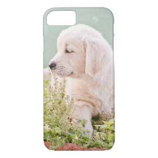 Golden retriever-Telefon-Kasten Case-Mate iPhone Hülle