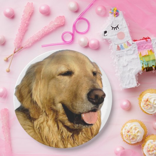 Golden Retriever Teller (Party)