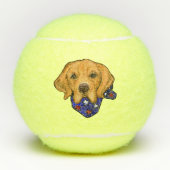 Golden Retriever Tennisbälle (Vorderseite)