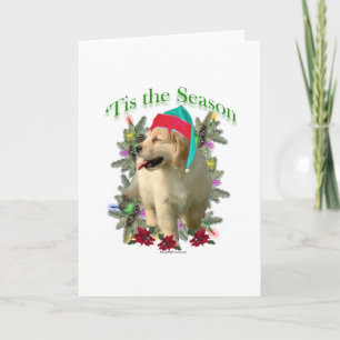 Golden Retriever "Tis Feiertagskarte