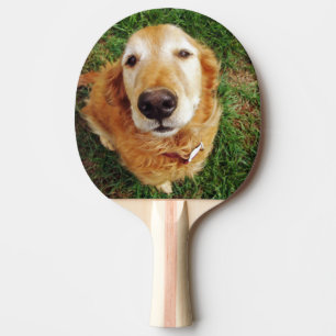 Golden Retriever Tischtennis Schläger