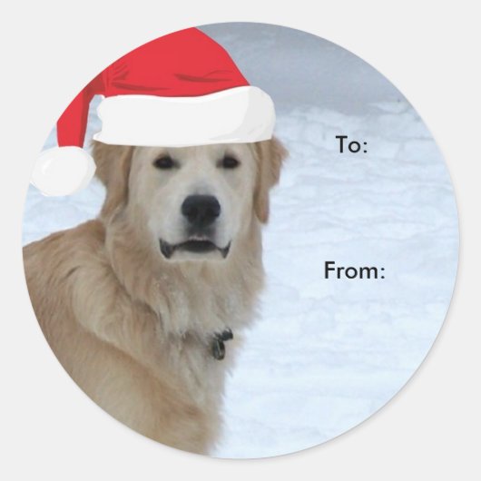 Golden Retriever to/from Christmas Aufkleber (Vorderseite)