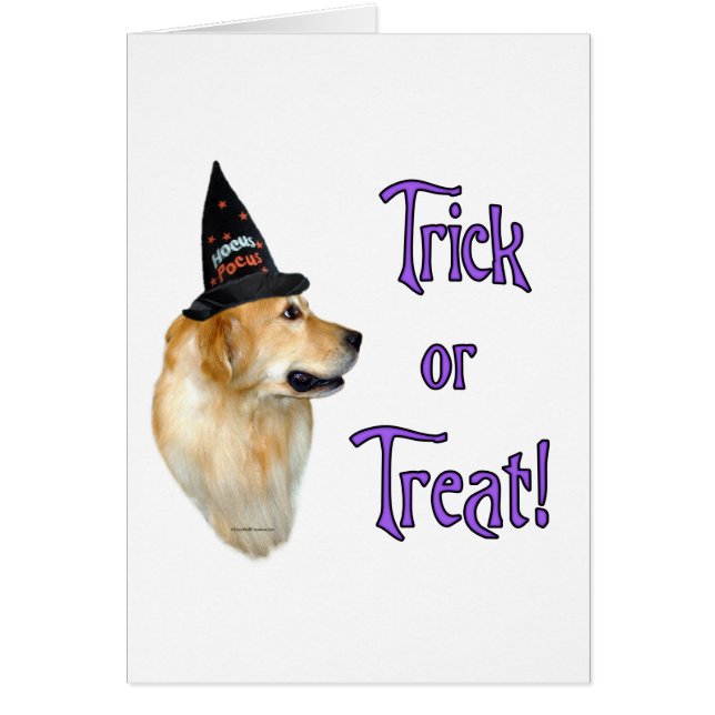 Golden Retriever Trick (Vorne)