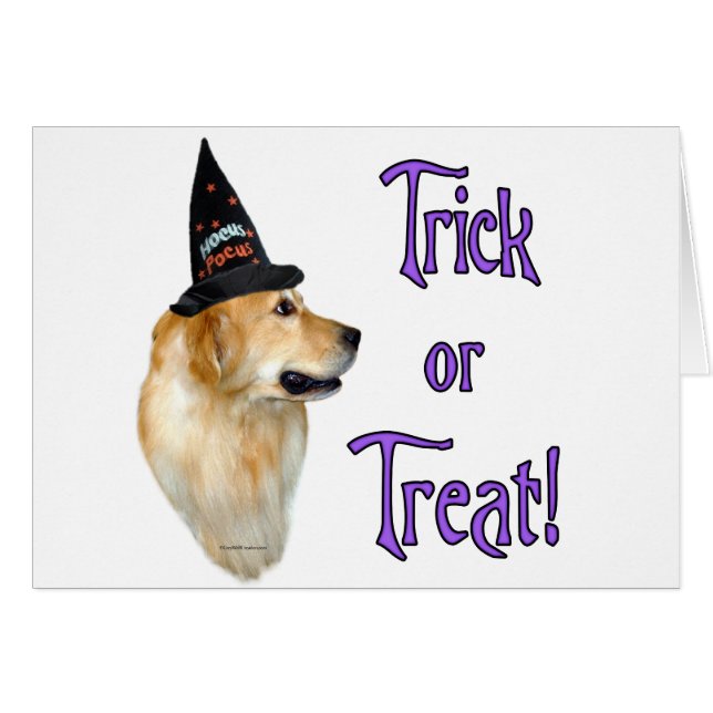 Golden Retriever Trick (Vorderseite (Horizontal))
