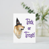 Golden Retriever Trick Postkarte (Stehend Vorderseite)