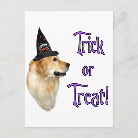 Golden Retriever Trick Postkarte (Vorderseite)