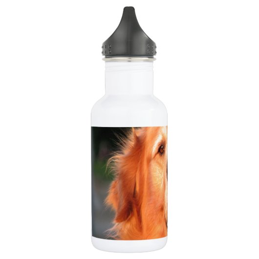 Golden Retriever Trinkflasche (Links)