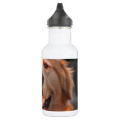 Golden Retriever Trinkflasche (Rechts)