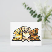 Golden Retriever Trio Postkarte (Stehend Vorderseite)
