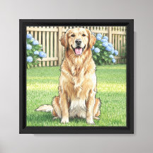 Golden Retriever und Blaue Hortensien