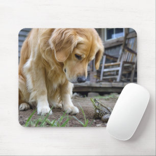 Golden Retriever und Frosch Starren Sich An Mousepad