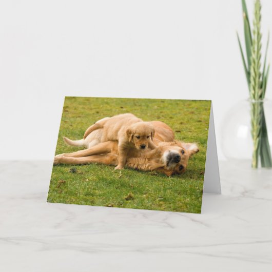 Golden Retriever und Puppy Vatertag Card Karte (Vorderseite)