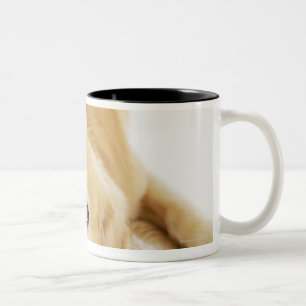 Golden retriever und Verzierung Zweifarbige Tasse