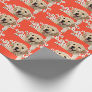 Golden Retriever unter Gänseblümchen auf Orange Geschenkpapier