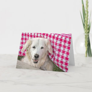 Golden Retriever unter Tischdecke zum Geburtstag Karte