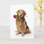 Golden Retriever Valentinstag Karte (Gelbe Blume)