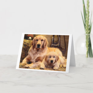 Golden Retriever Vatertag Card Karte