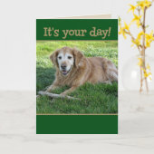 Golden Retriever Vatertag Card Karte (Gelbe Blume)