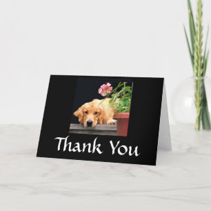 Golden Retriever Vielen Dank Blume der Karte