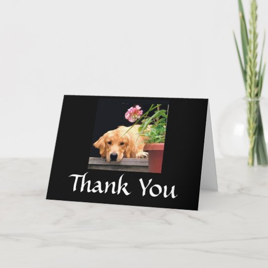 Golden Retriever Vielen Dank Blume der Karte (Vorderseite)