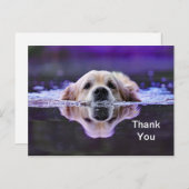 Golden Retriever Vielen Dank Postcard Postkarte (Vorne/Hinten)
