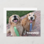 Golden Retriever Vielen Dank Postkarte (Vorne/Hinten)