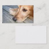 Golden retriever-Visitenkarte Visitenkarte (Vorne/Hinten)
