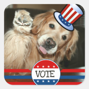 Golden Retriever VOTE Stickers