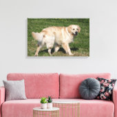Golden Retriever Walking Leinwanddruck (Insitu (Wohnzimmer))