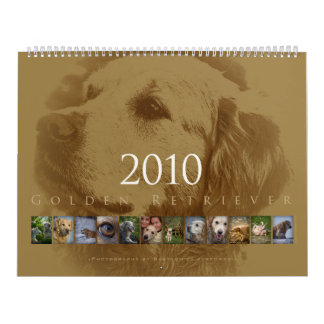 Golden retriever - Wandkalender 2010
