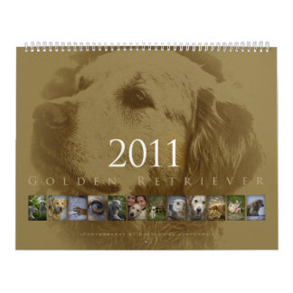 Golden retriever - Wandkalender 2011