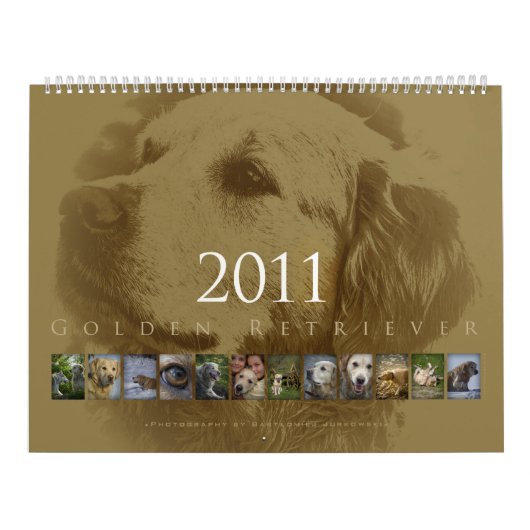 Golden retriever - Wandkalender 2011 (Titelbild)