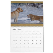 Golden retriever - Wandkalender 2011 (Mär 2027)