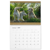 Golden retriever - Wandkalender 2011 (Jan 2027)