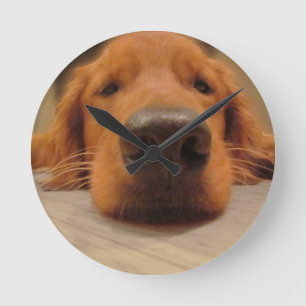 Golden retriever-Wanduhr Runde Wanduhr
