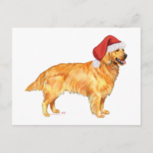 Golden Retriever Weihnachten