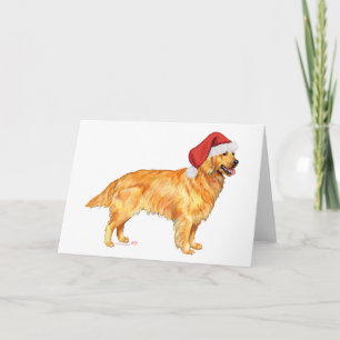 Golden Retriever Weihnachten