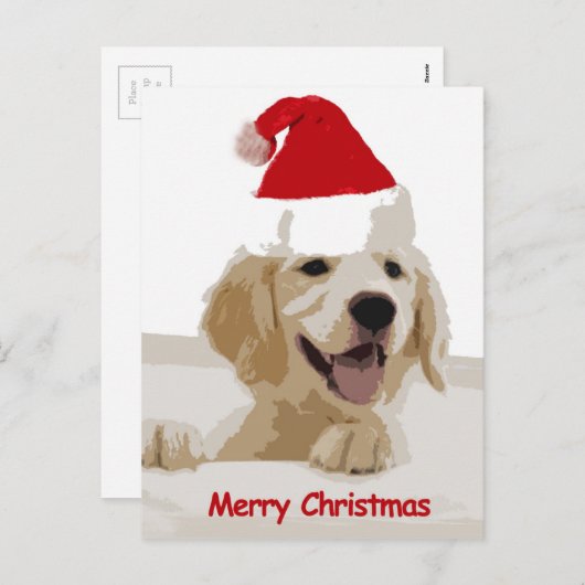 Golden Retriever Weihnachten mit Weihnachtsmannmüt (Vorne/Hinten)