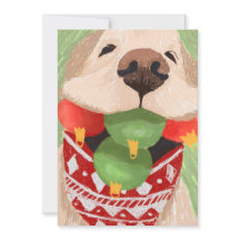 Golden Retriever Weihnachtsbälle Mouth Funny