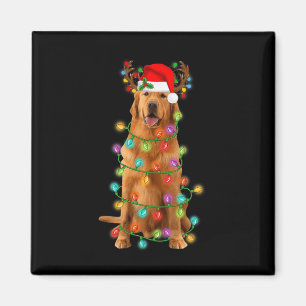 Golden Retriever Weihnachtsbaum Lichter Pyjama Hun Magnet