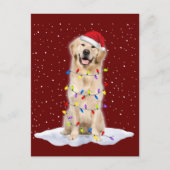 Golden Retriever Weihnachtsbaum Lichter Xmas Postkarte (Vorderseite)