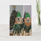 Golden retriever-Weihnachtsbäume Feiertagskarte (Vorderseite)