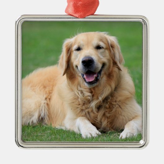 Golden Retriever Weihnachtsdekoration Metall Custo Silbernes Ornament (Vorne)