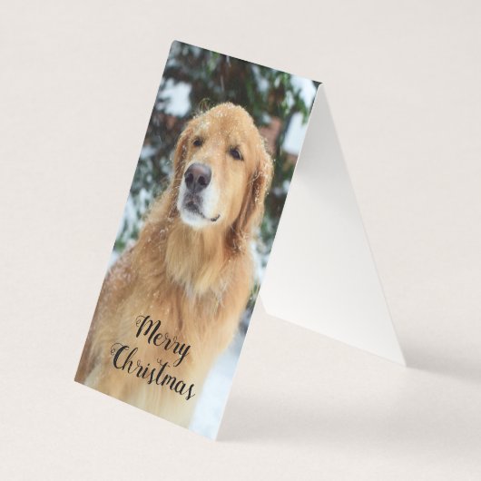 Golden Retriever Weihnachtskarte (Vorderseite)