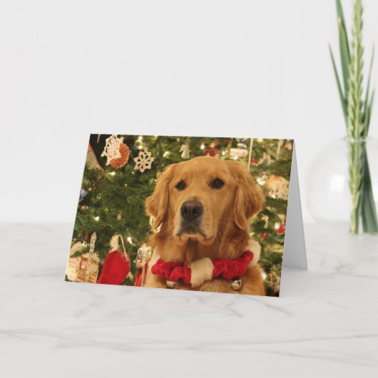 Golden Retriever Weihnachtskarte Feiertagskarte (Vorderseite)